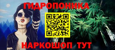 индика Железноводск