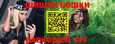 индика Железноводск