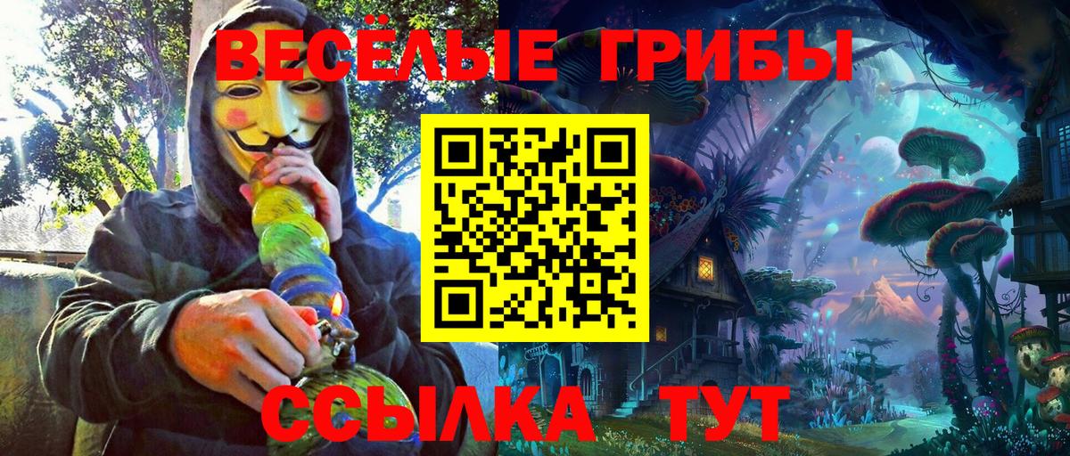 Псилоцибиновые грибы GOLDEN TEACHER  Галлюциногенные грибы ЛСД  Мегион  Вход с VPN 