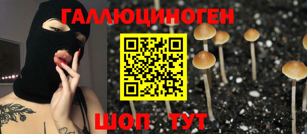 Галлюциногенные грибы Psilocybine cubensis Мегион